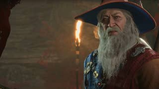 Elminster in Baldur's Gate 3.