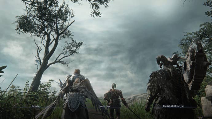 Elden Ring Nightreign players